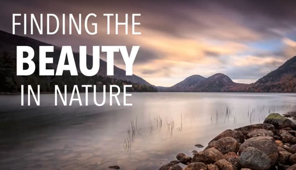 chris-upton-landscape-index